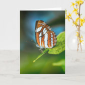 Witte en Oranje gestripte vlinder Kaart (Gele Bloem)