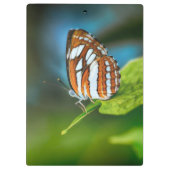 Witte en Oranje gestripte vlinder Klembord (Achterkant)