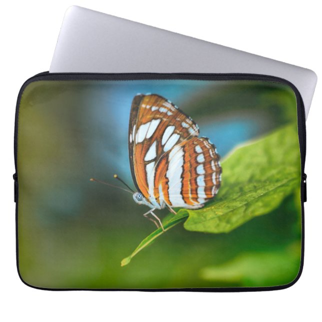 Witte en Oranje gestripte vlinder Laptop Sleeve (Voorkant)