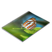 Witte en Oranje gestripte vlinder Notitieboek (Linkerzijde)