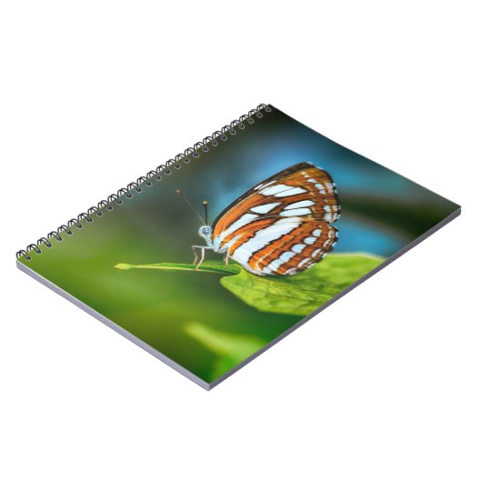 Witte en Oranje gestripte vlinder Notitieboek (Linkerzijde)