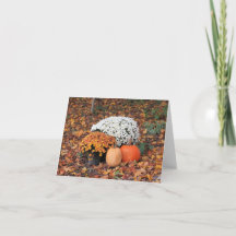 Witte en Oranje Herfst Mums