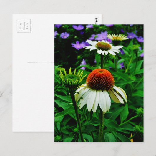 Witte en Oranje kloonbloemen Briefkaart (Voorkant / Achterkant)