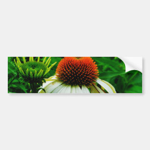 Witte en Oranje kloonbloemen Bumpersticker