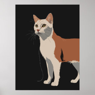 Witte en oranje poes op zwarte achtergrond poster