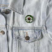 Witte en Paarse Button van passionbloem (In situ)