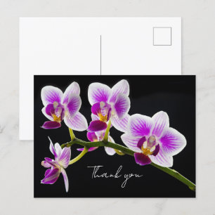 Witte en Paarse Orchidee Bedankkaartje Briefkaart