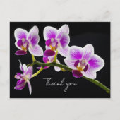 Witte en Paarse Orchidee Bedankkaartje Briefkaart (Voorkant)