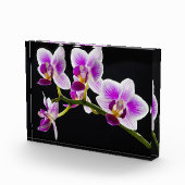 Witte en paarse orchidee fotoblokken (Rechts)