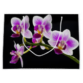 Witte en paarse orchidee groot cadeauzakje (Voorkant)