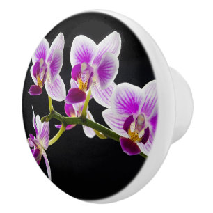 Witte en paarse orchidee keramische knop