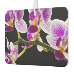 Witte en paarse orchidee luchtverfrisser