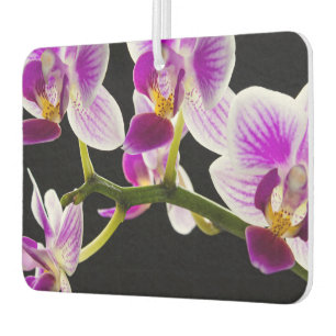 Witte en paarse orchidee luchtverfrisser