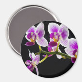 Witte en paarse orchidee magneet (Voorkant / Achterkant)