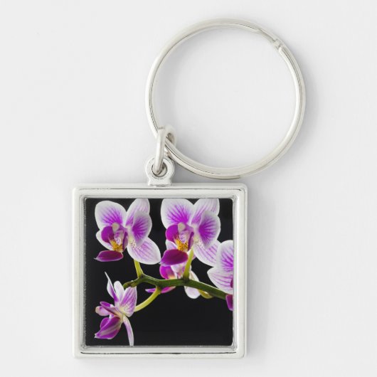 Witte en paarse orchidee sleutelhanger (Voorkant)