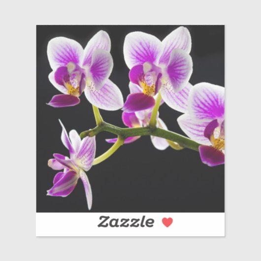Witte en paarse orchidee sticker (Vel)