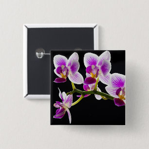 Witte en paarse orchidee vierkante button 5,1 cm