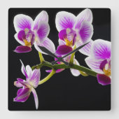 Witte en paarse orchidee vierkante klok (Voorkant)