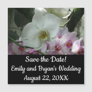 Witte en Paarse orchideeën