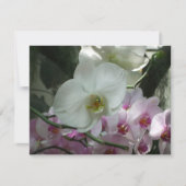 Witte en Paarse orchideeën (Voorkant)