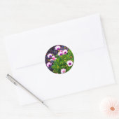 Witte en Paarse Stickers van de Afrikaanse Daisy # (Envelop)