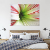 Witte en rode Amaryllis Flower Art Canvas Afdruk (Insitu (Slaapkamer))