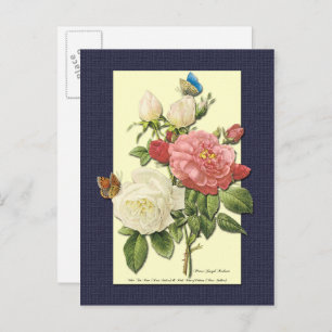 Witte en rode rozen Botanische Briefkaart