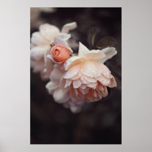 WITTE EN RODE STROOM IN MACROLENS POSTER