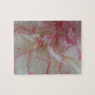 Witte en roze anjer Puzzle Legpuzzel