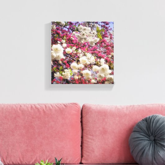 Witte en roze lentesbloesem in Wales Canvas Afdruk (Insitu (Woonkamer))