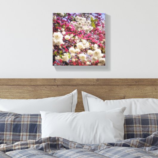 Witte en roze lentesbloesem in Wales Canvas Afdruk (Insitu (Slaapkamer))
