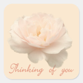 Witte en roze roos vierkante sticker