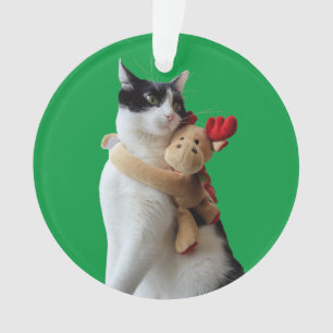 Witte en zwarte kat en rendierkerst Speelgoed Ornament