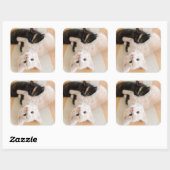Witte en zwarte Kittens Vierkante Sticker (Vel)