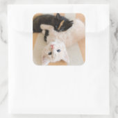 Witte en zwarte Kittens Vierkante Sticker (Tas)