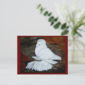 Witte Engelse trompetduif Briefkaart (Staand voorkant)