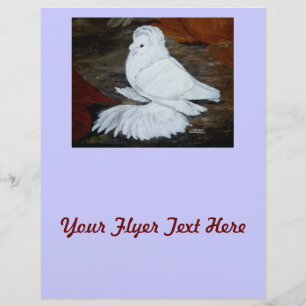 Witte Engelse trompetduif Flyer