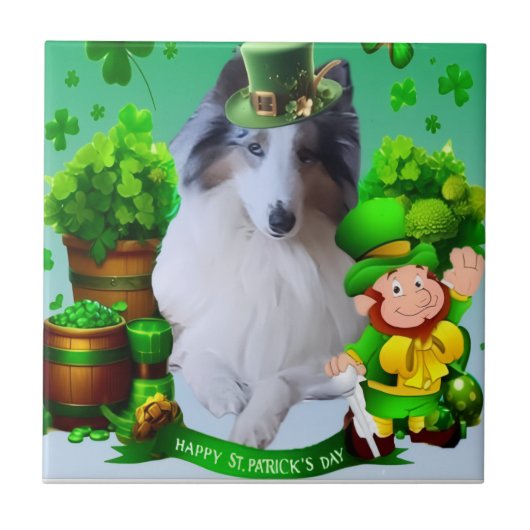 Witte factor Merle headed Rough Collie Tegeltje (Voorkant)