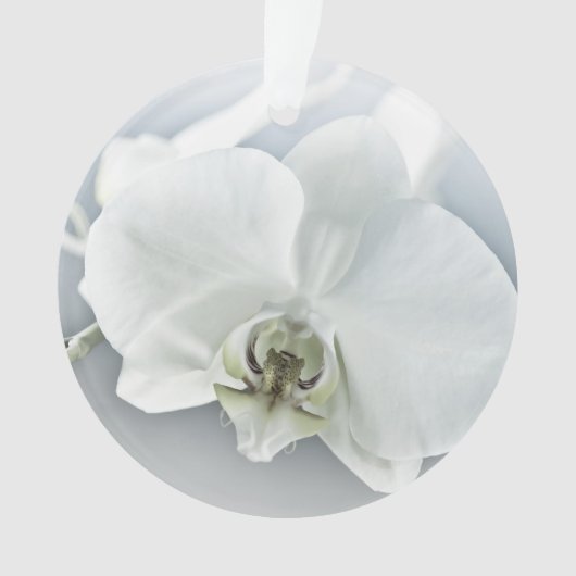 Witte faleonopsis orchidee ornament (voorkant)