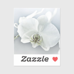 Witte faleonopsis orchidee sticker