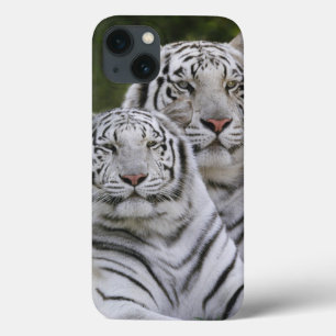 Witte fase, Bengaalse tijger, Tigris iPhone 13 Hoesje