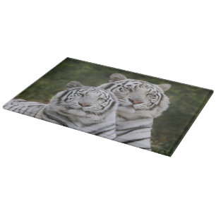 Witte fase, Bengaalse tijger, Tigris Snijplank