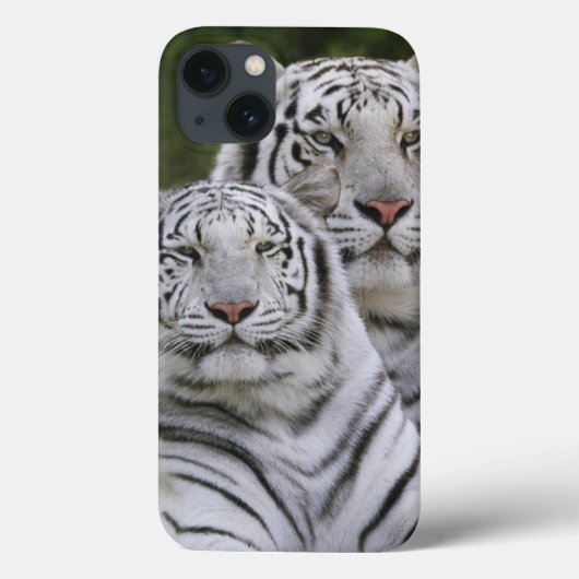 Witte fase, Bengal Tiger, Tigris Case-Mate iPhone Case (Achterkant)