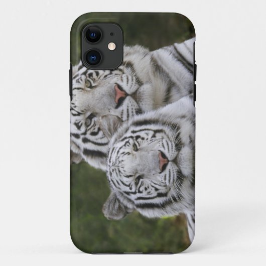 Witte fase, Bengal Tiger, Tigris Case-Mate iPhone Case (Achterkant)