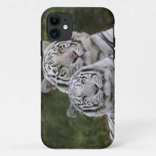 Witte fase, Bengal Tiger, Tigris iPhone 11 Hoesje