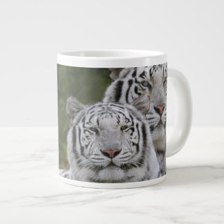 Witte fase, Bengal Tiger, Tigris Extra Grote Beker