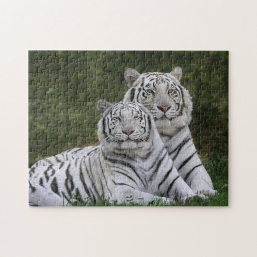 Witte fase, Bengal Tiger, Tigris Legpuzzel (Horizontaal)