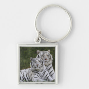 Witte fase, Bengal Tiger, Tigris Sleutelhanger