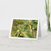 Witte figuren op boomportret kaart (Voorkant)