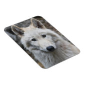 WITTE FLEXIBELE MAGNET MAGNEET (Rechterzijde)